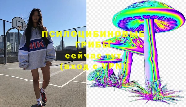 синтетический гашиш Алексеевка