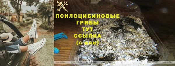 таблы Алексин