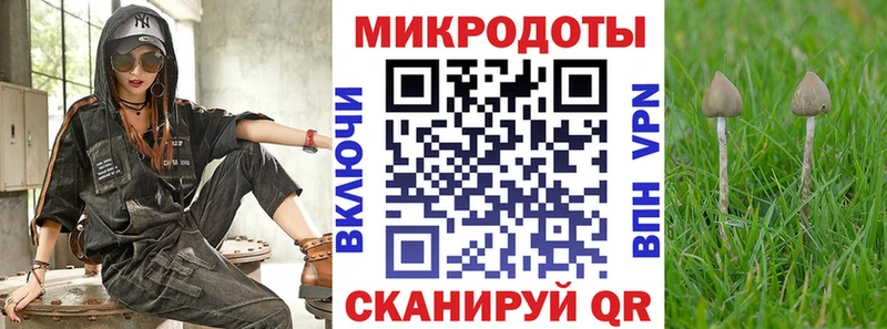 где купить наркотик  Лабытнанги  Галлюциногенные грибы прущие грибы 